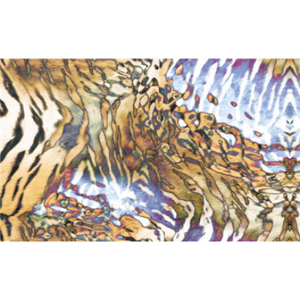 Available Print Design 77