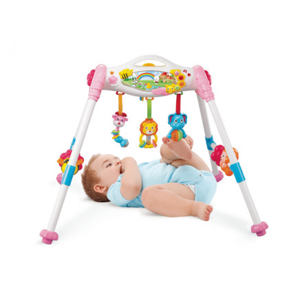 Baby Gift Baby Play Gym Toy (H0037155)