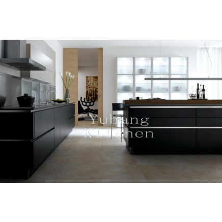 Baked Paint Kitchen Cabinet (M-L61)