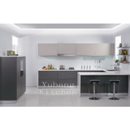Baked Paint Kitchen Cabinet (M-L96)