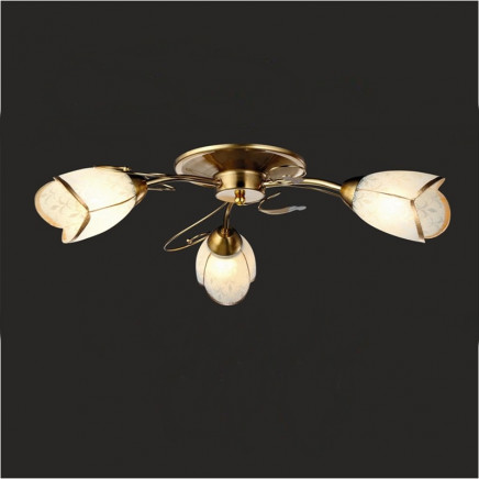 Ceiling Lights Chandelier Ceiling Lamp (GX-6083-3)