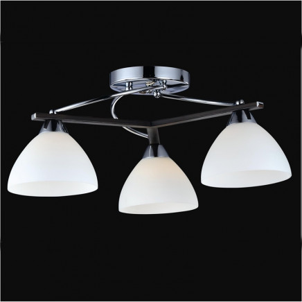 Chanadelier Ceiling Lamps