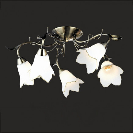 Chandelier Ceiling Lamp Greative Lamps (GX-6066-5)