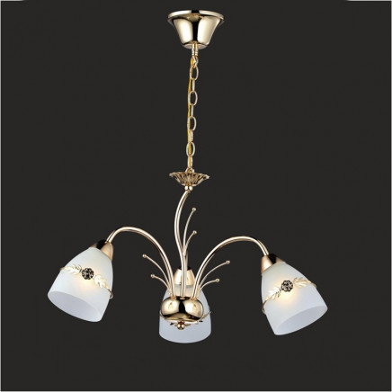 Chandeliers Pendant Lamps