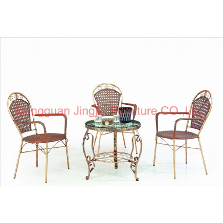 Cheap Iron Rattan Dining Outdoor Garden Furniture (JJ-S461&575)