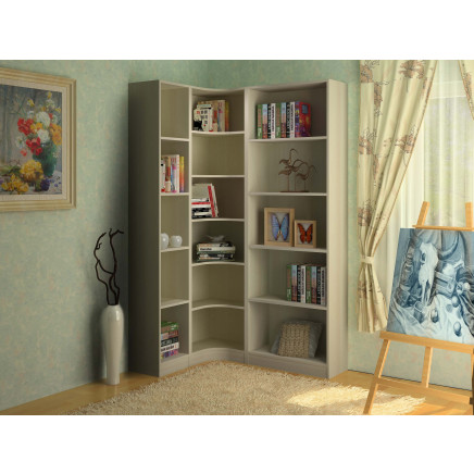 Chinese Furniture Book Cabinet for Living Room