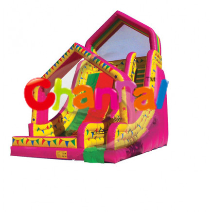 Classic Inflatable Slide/Kids Inflatable Slides for Sale Bb056
