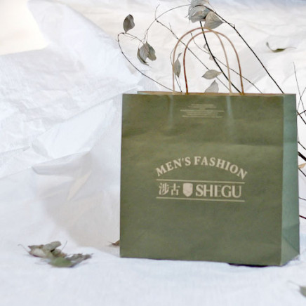 Colored Printed Paper Bag Foldable with Custom Logo