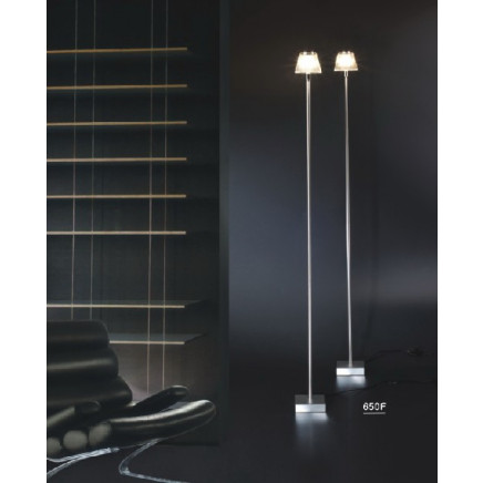 Contemporary Clear Shade Designer Floor Lamps (650F1)