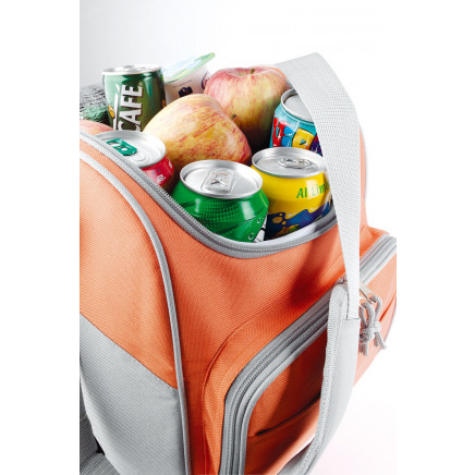 Cooler Bag