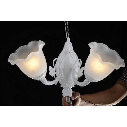 Crystal Chandelier Lamp with 220V Voltage Em2108-2L