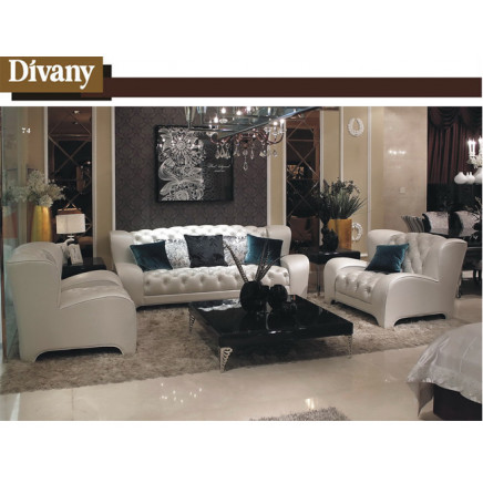 Divany Modern Living Room Furniture with Sofa and Coffee Table (LS-117)