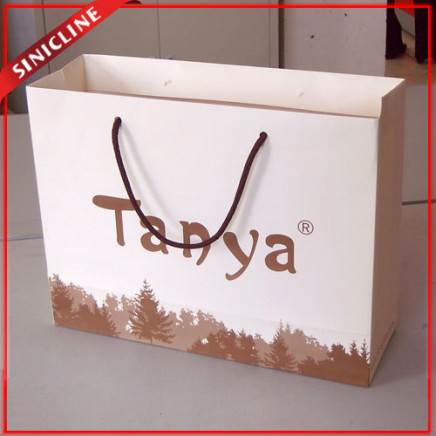 Economy Bag Paper Printing Logo for Shopping or Garment