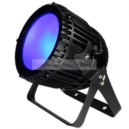 Effect Lighting 100W DMX LED Outdoor PAR Light Beam