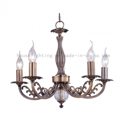 European Steel Chandelier (CH-880-8008BX5)