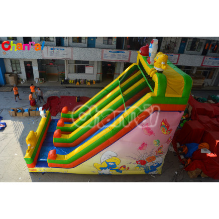 Giant Inflatable Slide/Kids Slides for Sale Chsl408