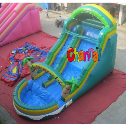 Green Inflatable Kids Water Slide with Pool for Sale (CHSL250)