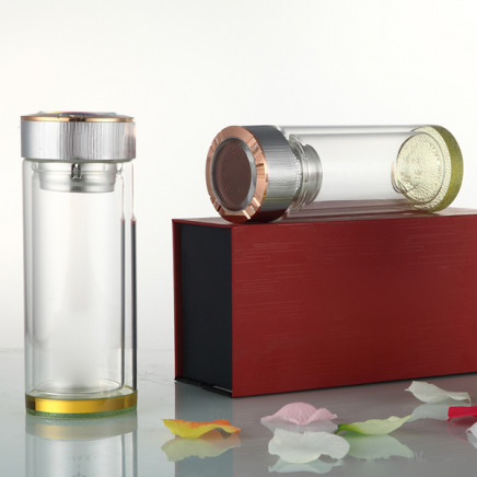 Heat-Resistant Glass Container Water Bottle with Tea Filter
