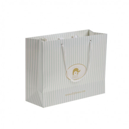 High Quality Gift Bag/Paper Bag/Shopping Bag