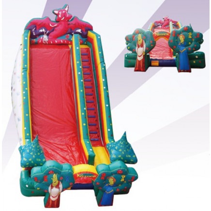 Inflatable Giant Slides Cartoon Slide Adult Dry Slides