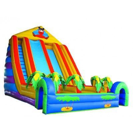 Inflatable Giant Slides