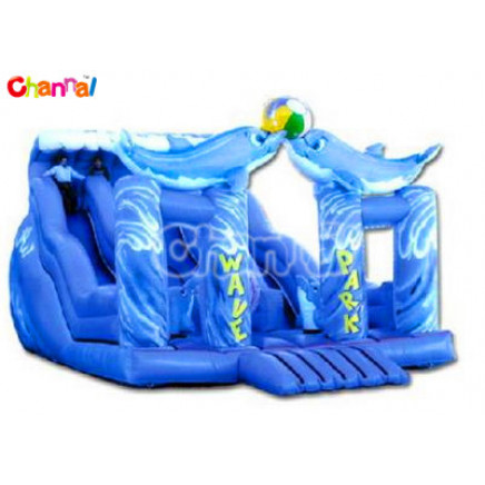 Inflatable Slide/Dolphin Inflatable Slide for Sale Bb140