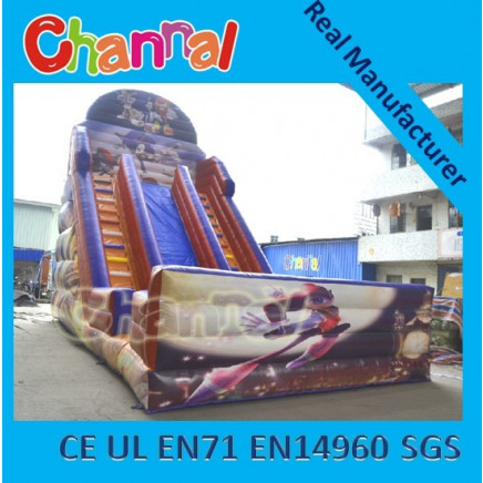 Inflatable Super Slide Adult Slide in Different Character