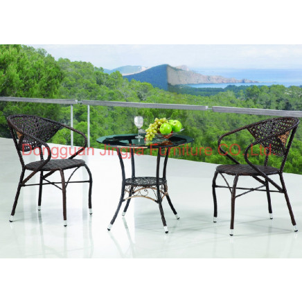 Iron Frame Wicker Leisure Garden Dining Set (JJ-S480&580)