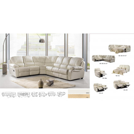 Living Room Sofa with Sofa Bed (E-8006S)