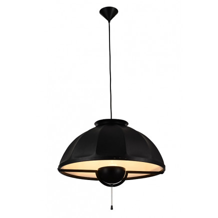 Modern Aluminium Carbon Steel Black Pendant Lighting (1121S)