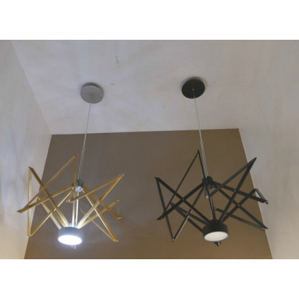 Modern Solid Wood Pendant Lamp (1168S)