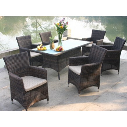 Outdoor PE Rattan Dining Set/Dining Table and Dining Chair/Garden Furniture