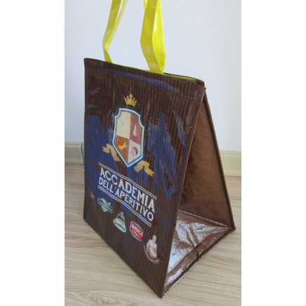 PP Laminated Themal Bag