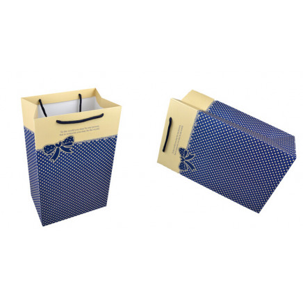 Paper Handle Packaging Bag Gift Bag