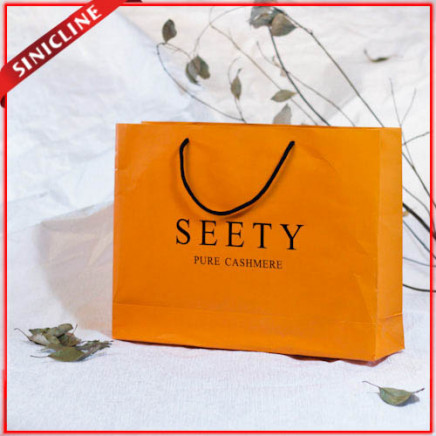 Print Logo Shopping Tinted Paper Bag