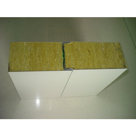 RW-950-100 Sandwich Panel (V950)