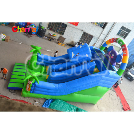 Safary Inflatable Slide/Large Inflatable Slide Chsl393