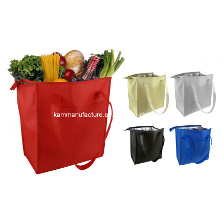 Shopping Cooler Bag