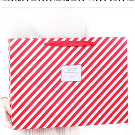 Shopping Package Paper Bag for Gift of China Supplier