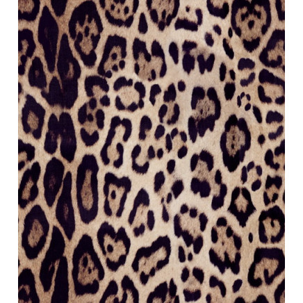 Silk Available Pirnt Artwork 7