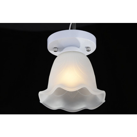Single Light Crystal Ceiling Lamp with Glass Shape Em2108-1