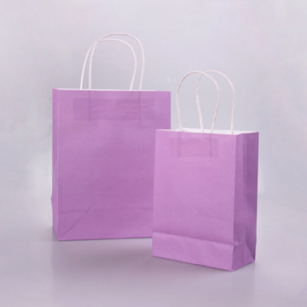 Top Sale Shopping Paper Bag with Paper Handle