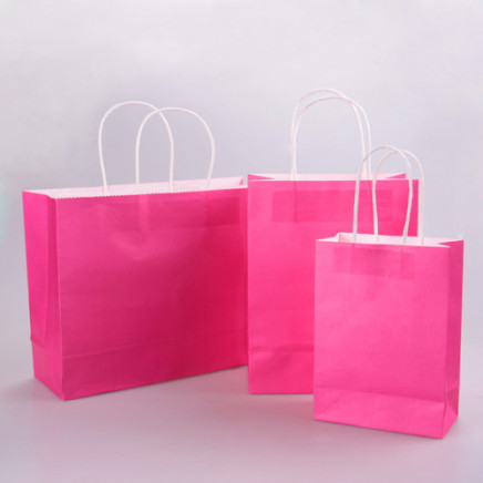 Various Size Shopping Paper Bag Can Be Customized