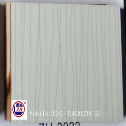White Wooden Line UV MDF for Kitchen Cabinet Door (ZH-3922)