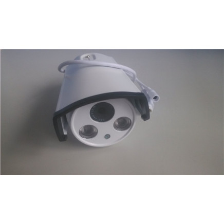 1080P 2PCS Array LED CMOS Sensor Real-Time Capture Wired IR Megapixel IP Camera