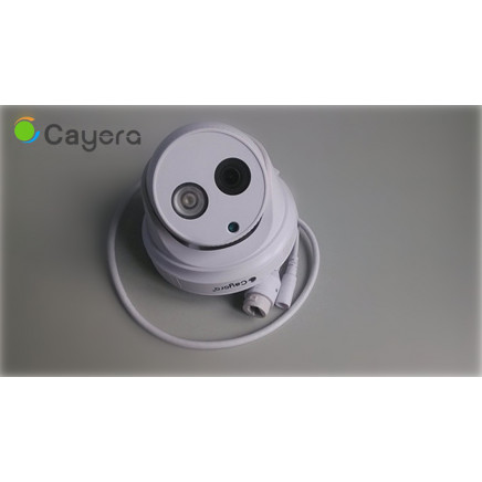 1080P Day / Night IR-Cut Network IP Security Camera with Mobile Phone APP