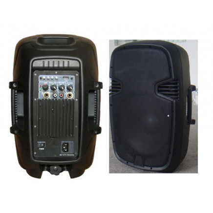 12" 2-Way Active/PA Speaker Box, Plastic Speaker