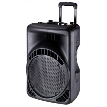 12" 2-Way PA Speaker Box / Plastic Speaker/Cabinet