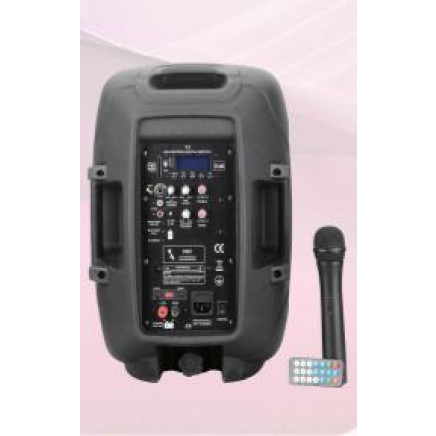 12'' 2-Way Portable Battery Speaker PS-1210bt-Wb
