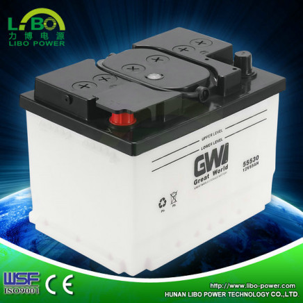 12V 55ah Lead Acid Car Starting Battery (55530)